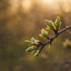 Il prossimo anno comincia adesso.